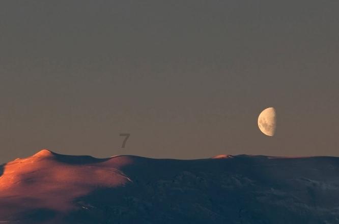 每天卖110吨 半数销往外地 宁夏海吉星市场水产“遍游”五省区