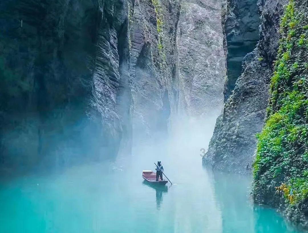 网红陆仙人所属公司拖欠员工工资，已停播超20天！