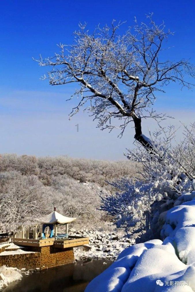 杨振宁翁帆住宅曝光,房间狭小异常简朴,不在乎名利