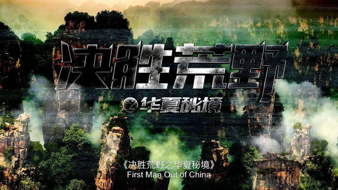 逗小猴开心系列175