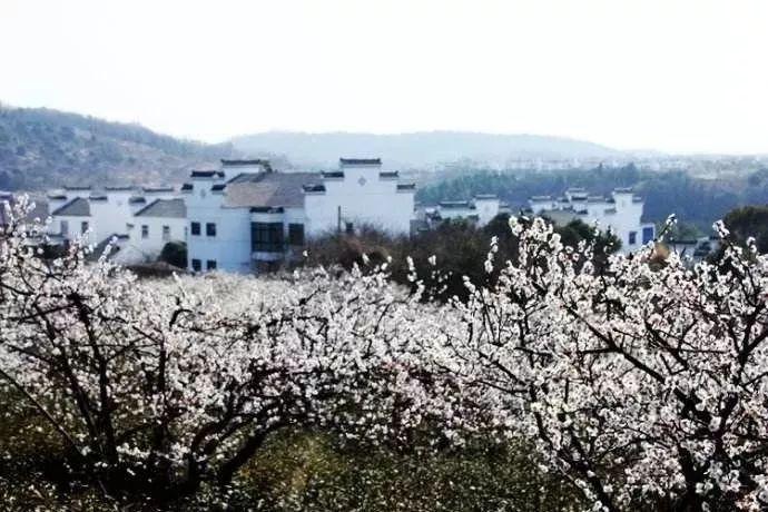 数学测试题