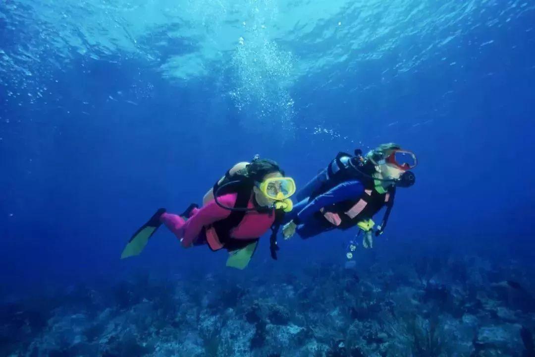 阿凯历险记