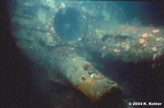 长寿花长太高怎么办，这样修剪让它又矮又爆盆？游戏画面
