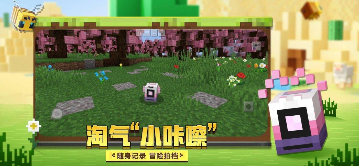 救援度假的法官