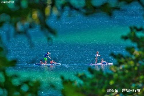 格斗巅峰大作战
